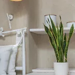 Apartment Elizabeth's Dream Place ι